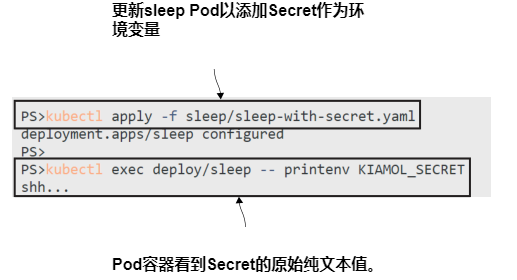 图4.14 加载到Pods中的 Secret 不是Base64编码的.